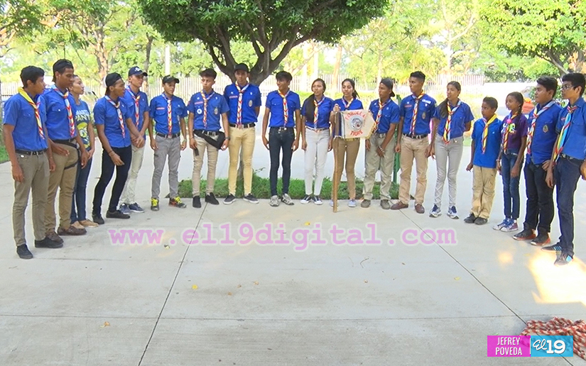 scout